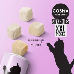 Cosma Snackies XXL – Maxi Tube Saver Pack Chicken (3 X 200g) 20 Cosma Snackies XXL – Maxi Tube Saver Pack Chicken (3 X 200g) -Zoo Plus 1 cosma snackies xxl rangeboard 1000x1000 8