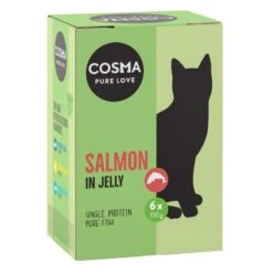 Cosma Original Pouches In Jelly 6 X 100g Salmon -Zoo Plus 85300 pla cosma original salmon box100g 9 2