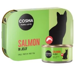 Cosma Original In Jelly 6 X 170g Salmon -Zoo Plus salmon170g 7 8